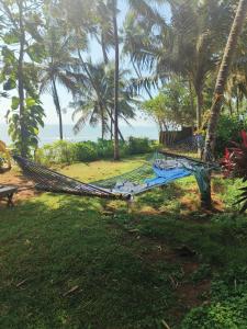 Κήπος έξω από το Perch by the sea 2