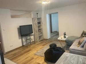 uma sala de estar com um sofá e uma TV em Wiejski Dom w Karkonoszach em Mysłakowice