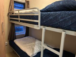 Letto a castello con scala accanto a una finestra di Chalet 240 a Petten