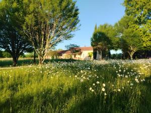 een bloemenveld voor een huis bij Gite Laurélie, Un Écrin De Sérénité in Trémons