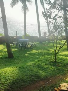 einen Tisch und Stühle auf einem Feld mit Meerblick in der Unterkunft Perch by the sea in Kannur