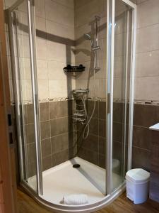 eine Dusche mit Glastür im Badezimmer in der Unterkunft La Ruche, Maison chaleureuse de 5 personnes in Aigueblanche