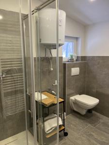 a bathroom with a toilet and a glass shower at Ferienhütte Admont in Admont +33 photos