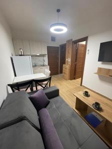 uma sala de estar com um sofá e uma mesa em Apartmani Resna Budva em Budva