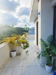 Μπαλκόνι ή βεράντα στο Winsor House