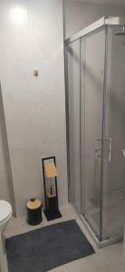 um banheiro com chuveiro, vaso sanitário e espelho em Jelena Lux 