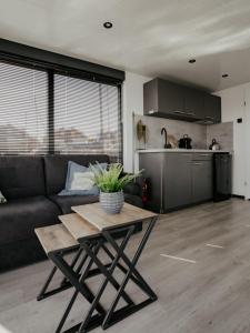 a living room with a couch and a table at Houseboat Uitgeest with Air Conditioning | 4 people in Uitgeest +11 photos