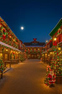 a christmas town with christmas trees and lights at Winter-Lodge-Kaminfeuer & Waldidylle, nähe Pullmann City Weihnachtswelt in Waldkirchen