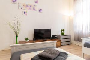 Μια τηλεόραση ή/και κέντρο ψυχαγωγίας στο FLEX Aparts - möblierte Wohnung in Zwickau