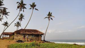 a man standing in a shack on the beach with palm trees at Phoenix Villa in Kappil
