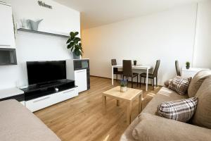 Μια τηλεόραση ή/και κέντρο ψυχαγωγίας στο Smarty Choice Living with FREE PARKING - Vondroušova