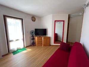 a living room with a couch and a tv and a mirror at Conveniente, tranquilla con parcheggio in Belluno