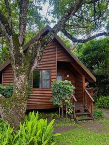 Zahrada ubytování Imvubu Lodge