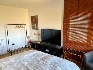 Μια τηλεόραση ή/και κέντρο ψυχαγωγίας στο Villa Julieta-casolare di campagna recentemente ristrutturato