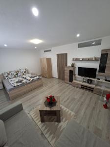 TV a/nebo společenská místnost v ubytování Apartmán Wellness-Detva