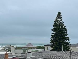 a christmas tree on top of a roof at Low tide living in Struisbaai +5 photos