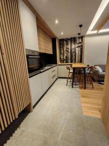 Køkken eller tekøkken på Apartman 601 Ema Montera