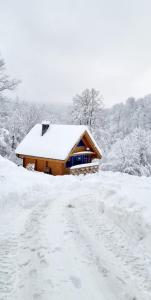 Το Tu W Dolinie τον χειμώνα