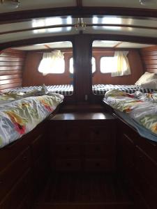 Φωτογραφία από το άλμπουμ του Cabin on Sailing boat cruise Roatan-Cayo Cochino 