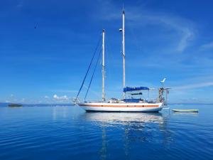 Φυσικό τοπίο κοντά σε αυτό το πλωτό κατάλυμα +10 φωτογραφίες