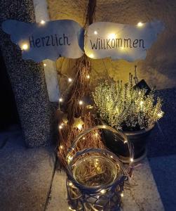 a planter with lights and a potted plant at Ferienwohnung Stadt-Land-Fluss in Bad Salzuflen