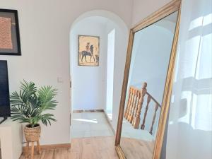 a hallway with a mirror and a potted plant at Noctua 012 Estepona Oldtown 3 in Estepona