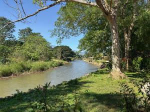a river with a tree in the foreground at The Riverfront Reserve in Pai