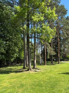 Un jardín fuera de Borjak smestaj