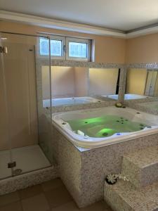 Un baño de Borjak smestaj