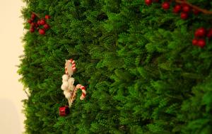 Κήπος έξω από το Le rose di Mimmo Casa vacanze