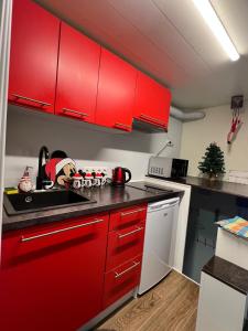 Η κουζίνα ή μικρή κουζίνα στο Tiny Home +13 φωτογραφίες