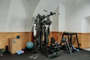 Fitness centrum a/nebo fitness zařízení v ubytování Penzion Šatlava