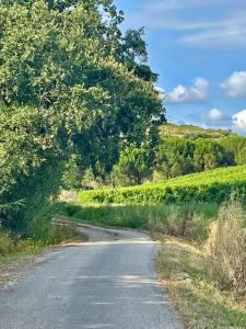 eine Straße mit einem Baum an der Seite in der Unterkunft Maçussa Country House in Massuça + 3 Fotos