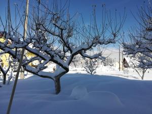 a tree covered in snow in a yard at Apartman Anita in Kupres