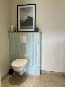 ein Bad mit einem WC und einem Bild an der Wand in der Unterkunft Les Gîtes du Colombier in Ollé