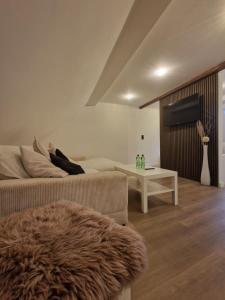 Μια τηλεόραση ή/και κέντρο ψυχαγωγίας στο Janna's City Appartement