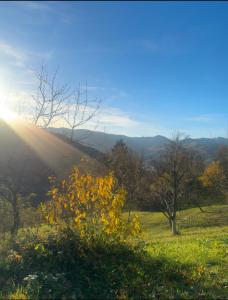 Будинок під Менчулом في راخيف: حقل من العشب مع الشمس في الخلفية