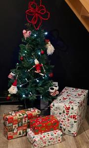 Un albero di Natale con dei regali davanti di Nature et Moi a Wittes