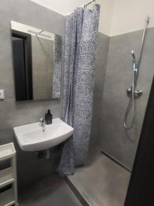a bathroom with a sink and a shower at City Center Apartments - Měšťanský dům Minoritská II in Brno