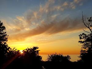 a sunset over the ocean with trees in the foreground at 6 person holiday home in Dronningmølle-By Traum in Gilleleje