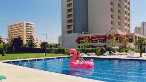 a doll sitting on a pink flamingo in a swimming pool at Ocean View! 2-Bedroom Cosy Condo in Portimão