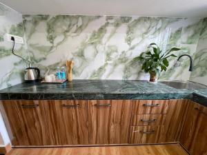 a kitchen with a counter and a sink at Karma Stay 2BHK apartments in Jaigaon