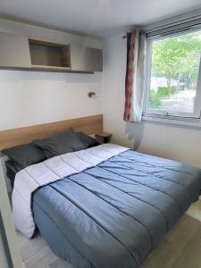 ein Schlafzimmer mit einem großen Bett mit Fenster in der Unterkunft Sevservices à La Réserve in Gastes