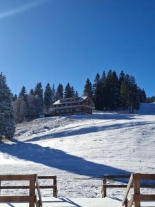 a house on a snow covered field with two benches at Berggasthaus Auerhahn - Ski In- Ski Out- in Feldberg