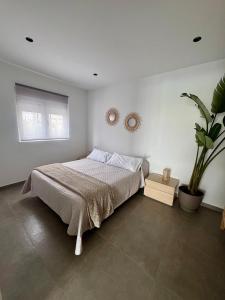 Postel nebo postele na pokoji v ubytování Villa Oasis + 24 fotografií