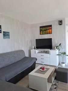 un soggiorno con divano e TV a schermo piatto di std- Na lepom plavom Dunavu a Kladušnica
