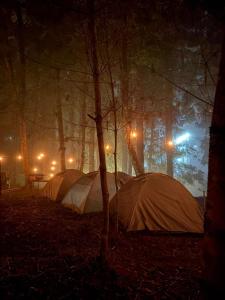 Galería fotográfica de Camp Wildnest Adventures Dambuk en Dāmbuk