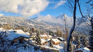 a village covered in snow with mountains in the background at apartment with big garden and stunning view Chesieres in Villars-sur-Ollon