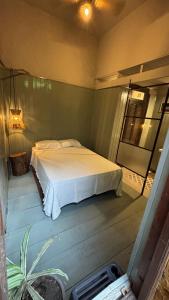 a bedroom with a bed and a plant in it at A la Gurda Hostel - Barrio Sur in San Miguel de Tucumán