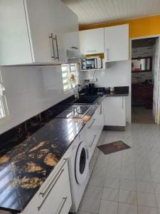 Η κουζίνα ή μικρή κουζίνα στο Appartement lumineux avec terrasse à Les Trois-Îlets